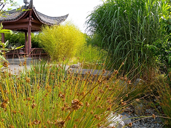 китайский сад на участке